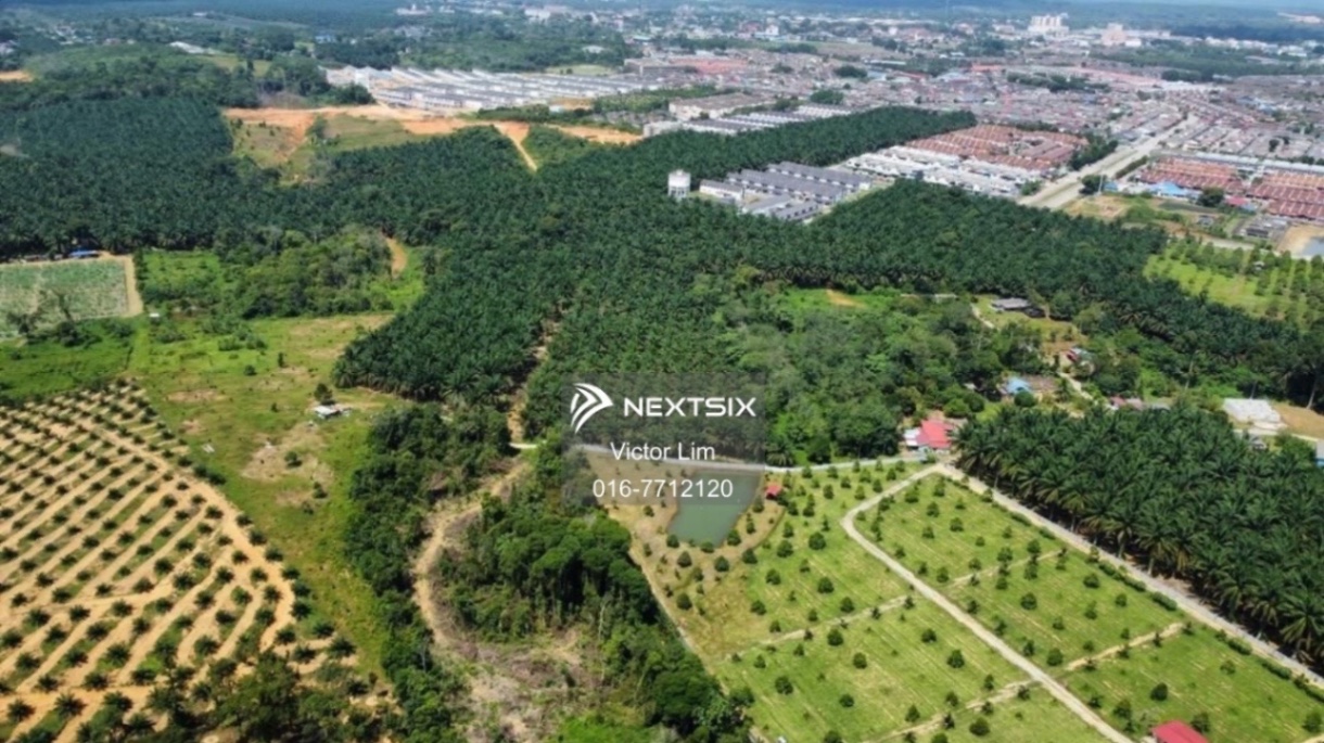 Agricultural Land For Sale in Kota Tinggi Johor