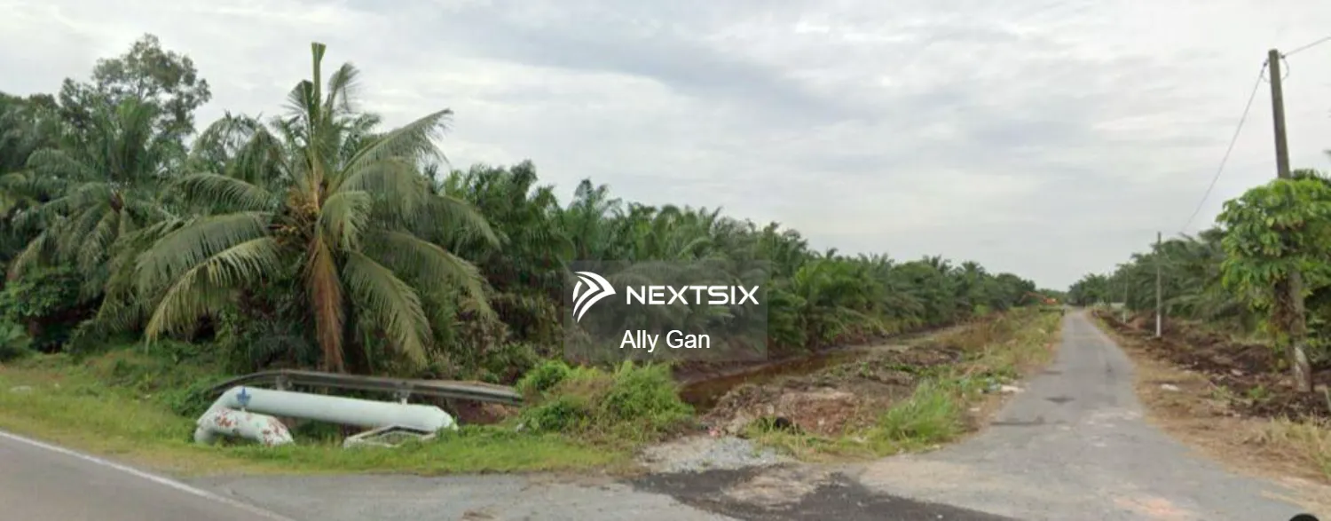 Agricultural Land For Sale in Pontian Johor