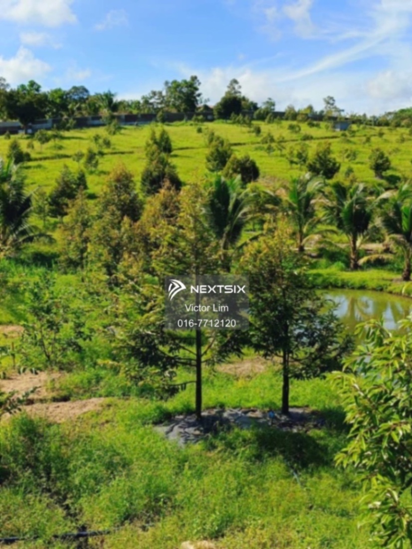 Agricultural Land For Sale in Ulu Tiram Johor
