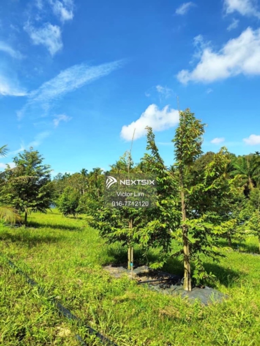 Agricultural Land For Sale in Ulu Tiram Johor - Image 10