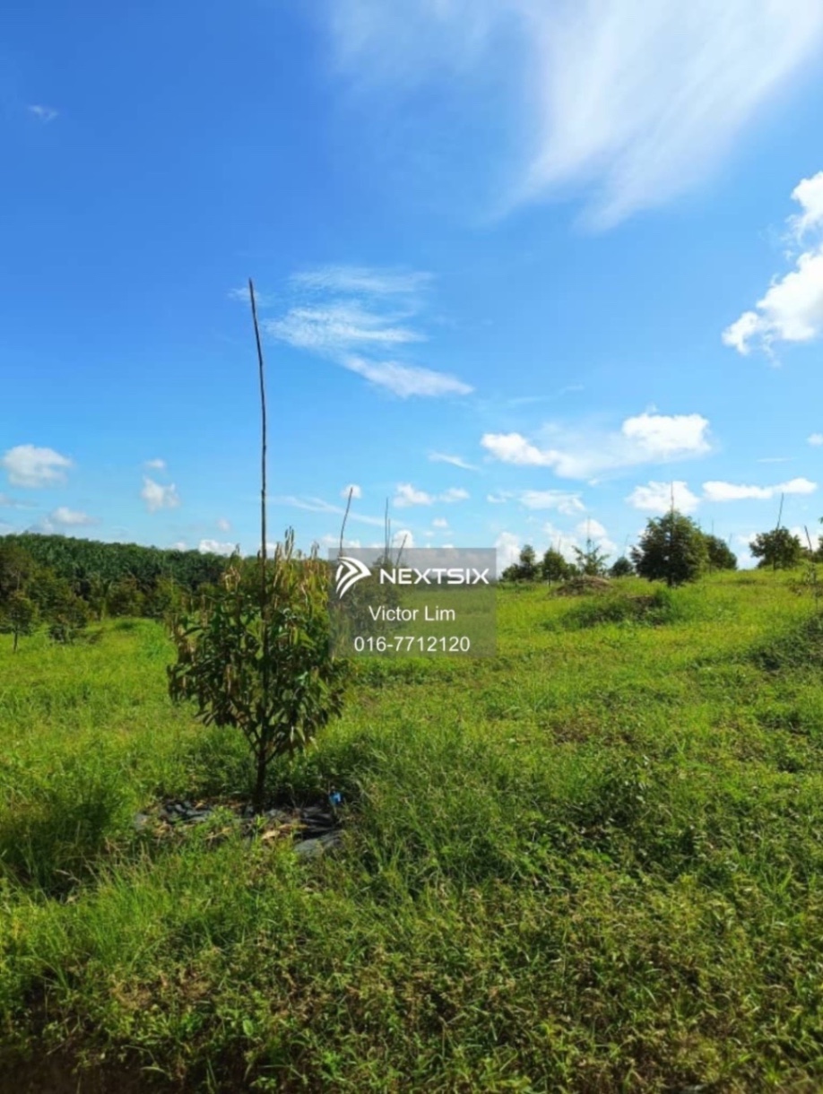Agricultural Land For Sale in Ulu Tiram Johor - Image 11