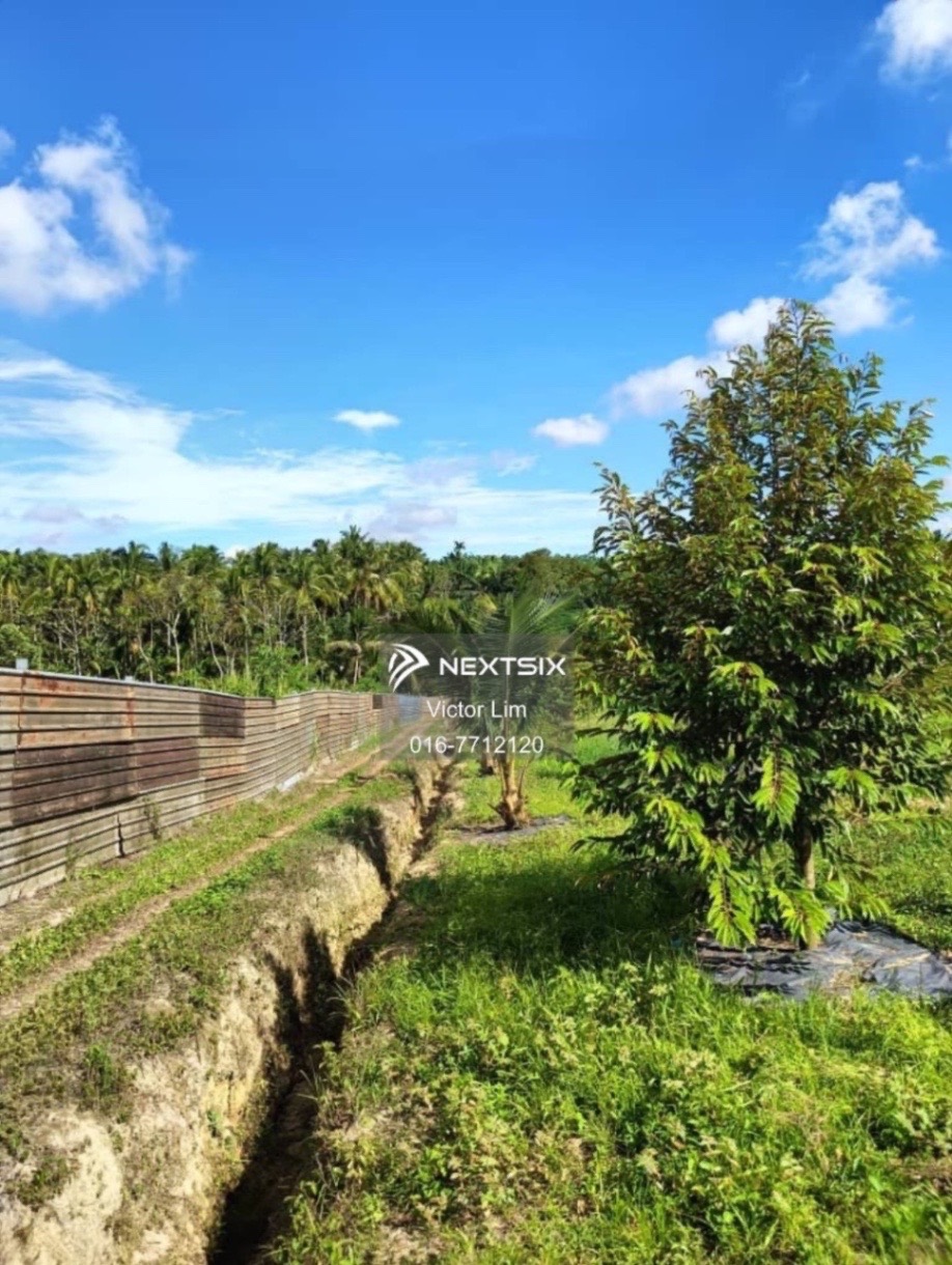 Agricultural Land For Sale in Ulu Tiram Johor - Image 12