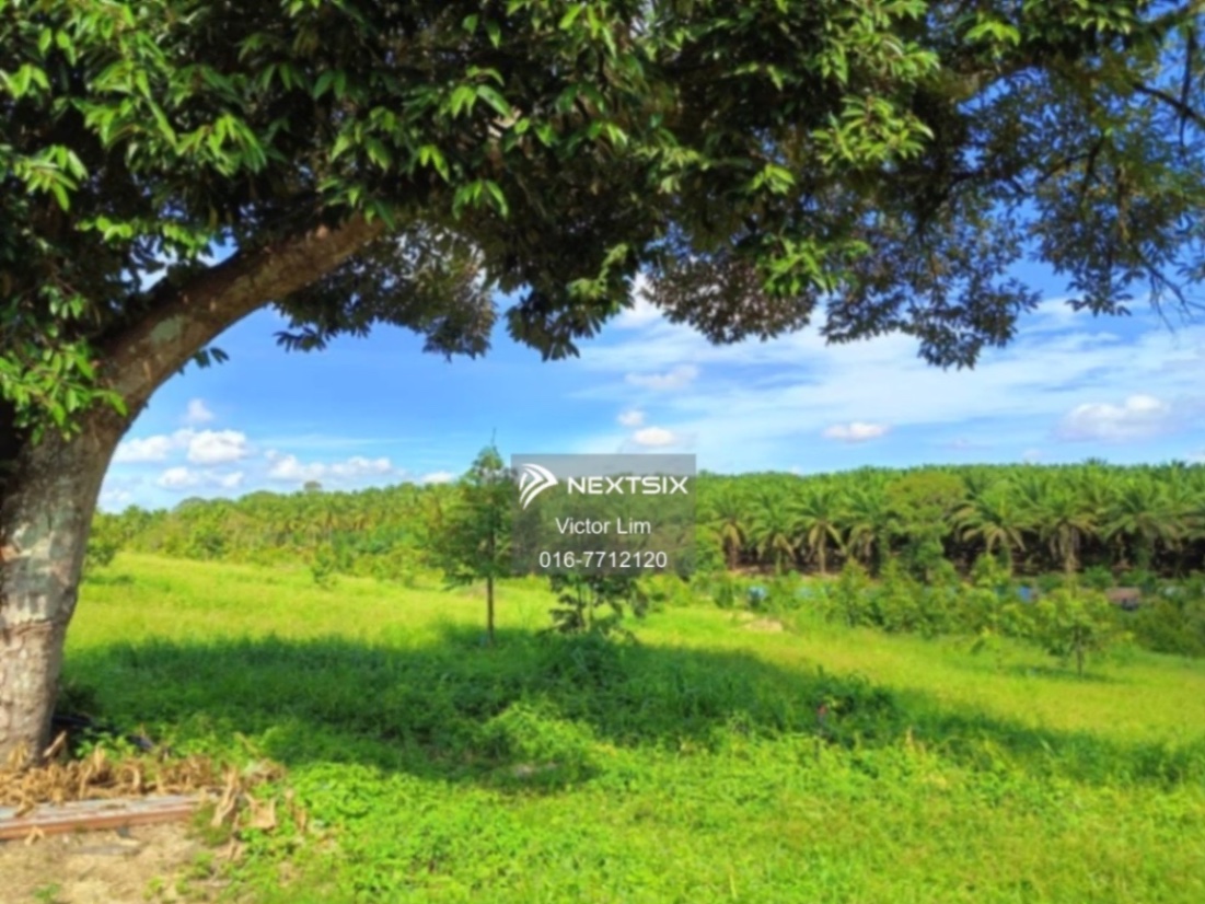 Agricultural Land For Sale in Ulu Tiram Johor - Image 14
