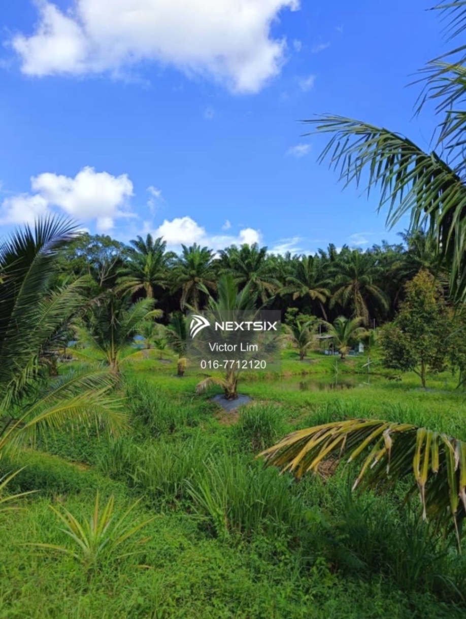 Agricultural Land For Sale in Ulu Tiram Johor - Image 15
