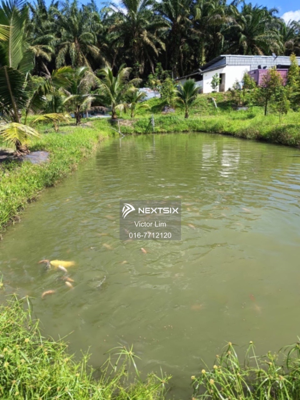 Agricultural Land For Sale in Ulu Tiram Johor - Image 20