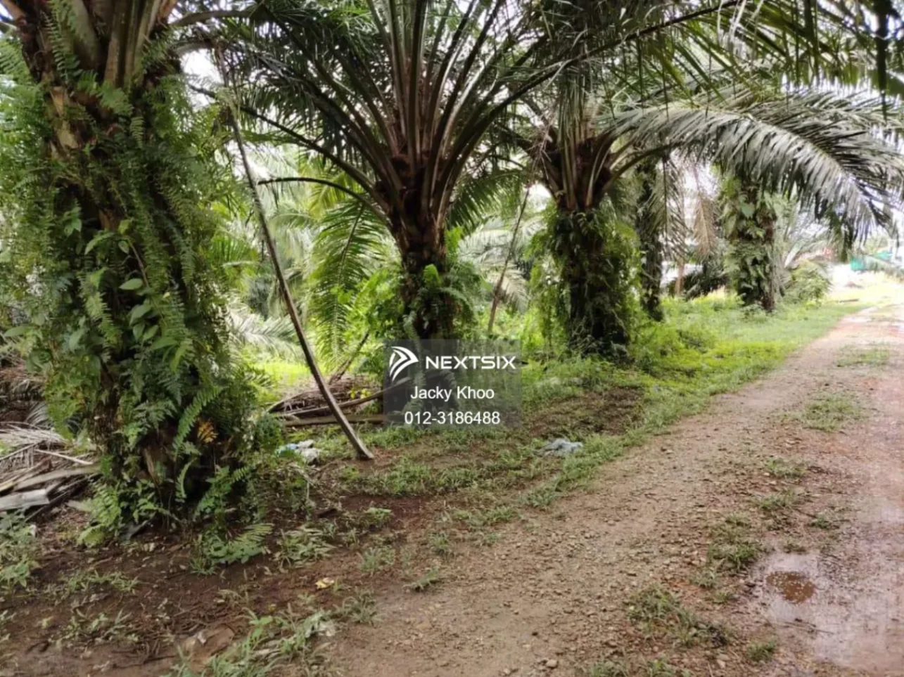 Kanchong Land Banting 3.8 Acres