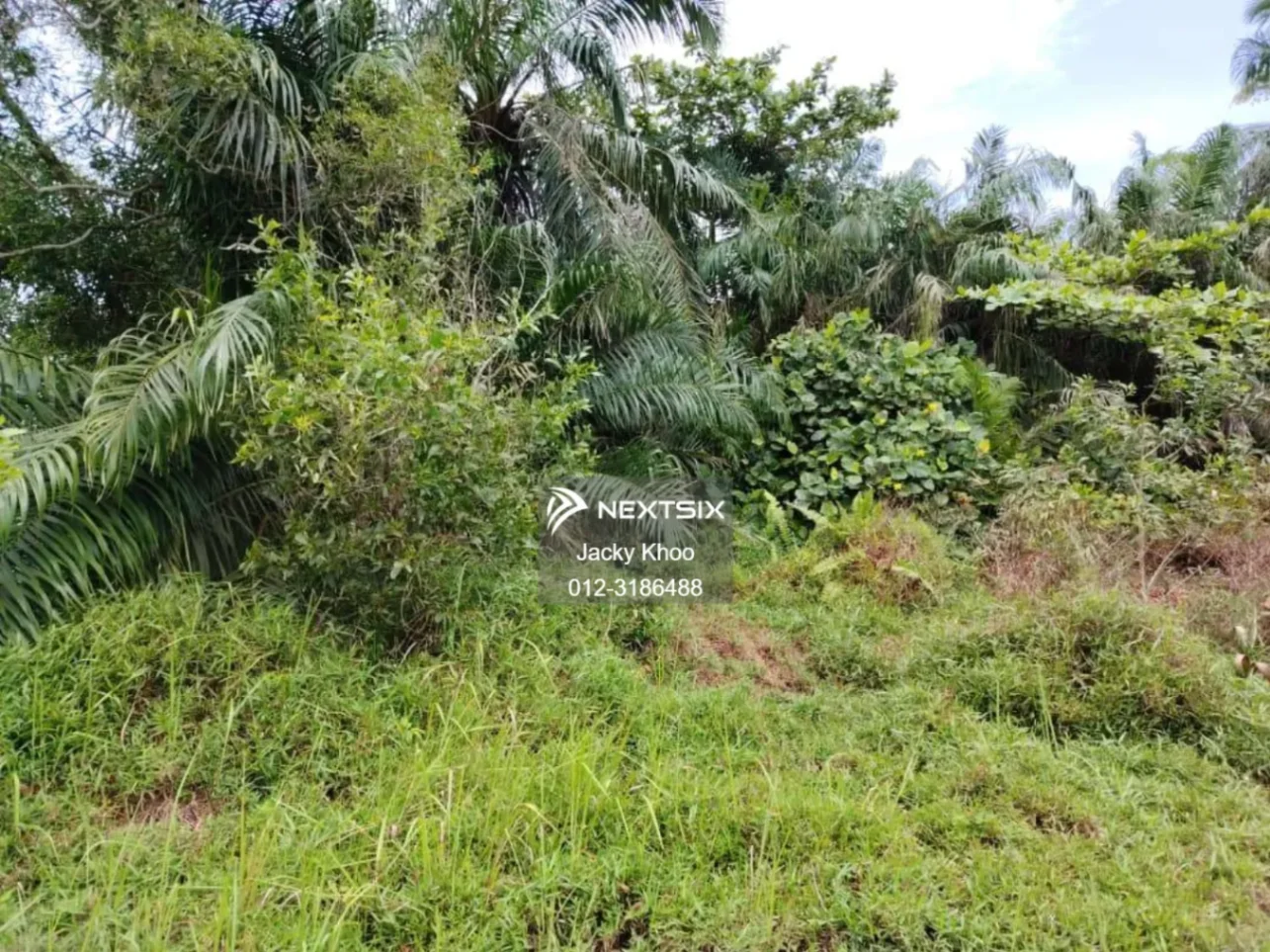 Agricultural Land For Sale in Banting Selangor - Image 5