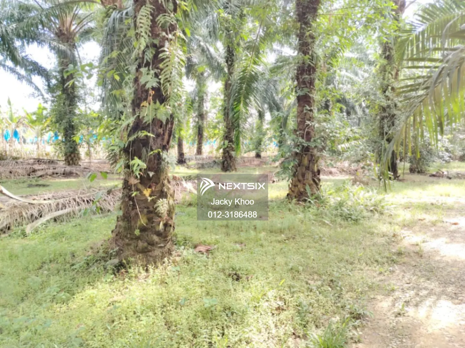 Agricultural Land For Sale in Telok Panglima Garang Selangor - Image 5