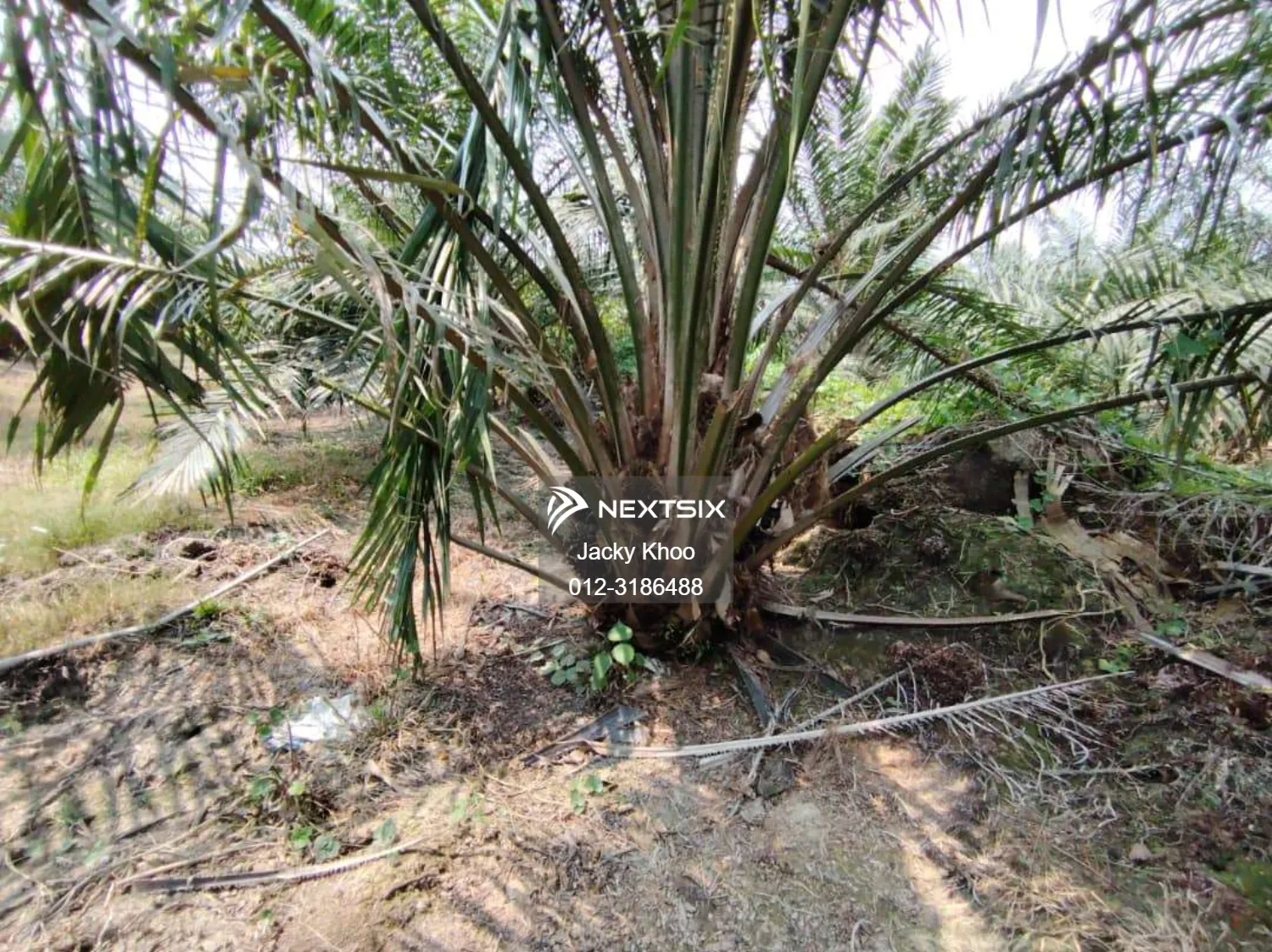 Agricultural Land For Sale in Telok Panglima Garang Selangor - Image 5