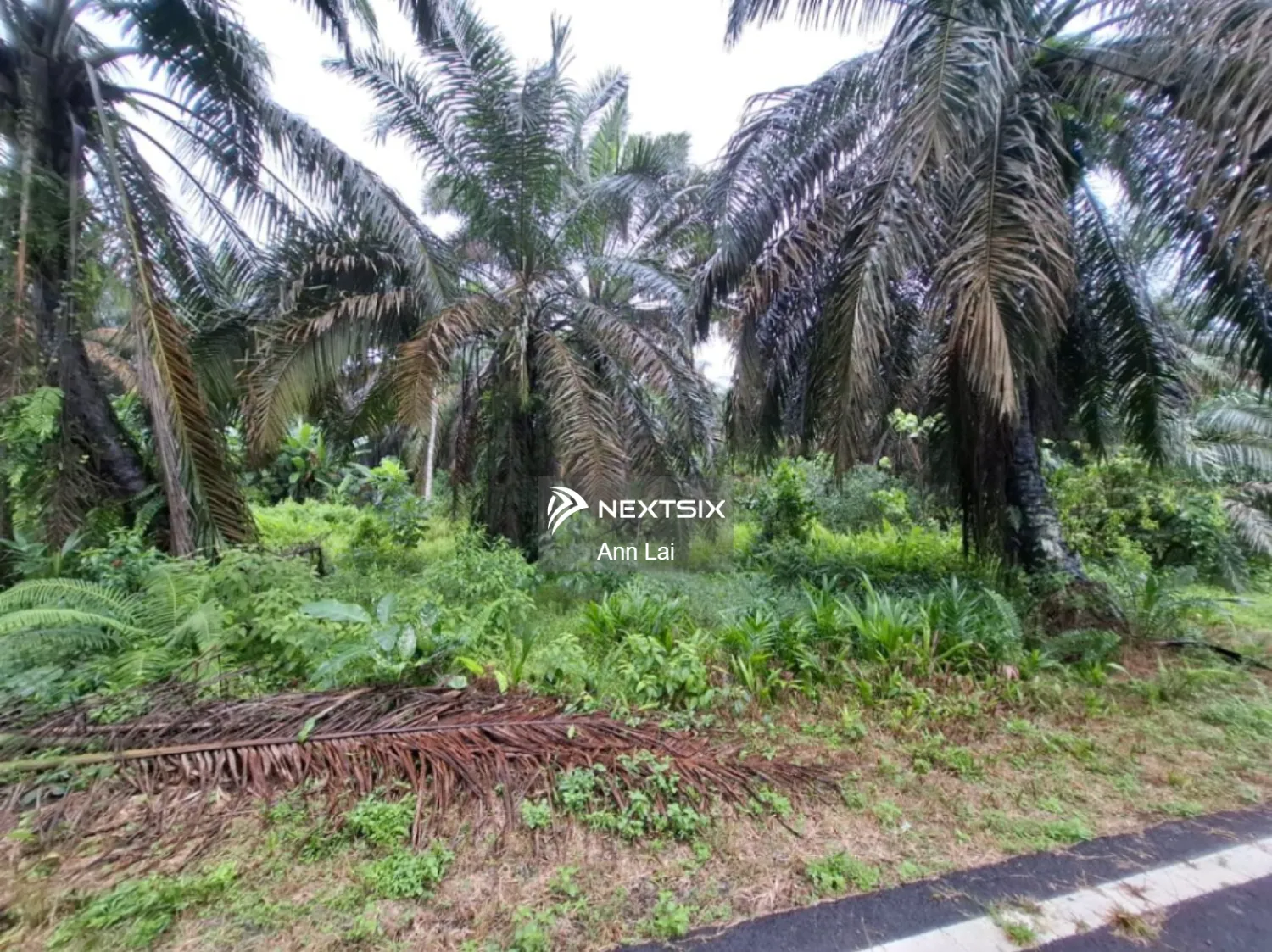 Sedernak Bukit Batu Agriculture Flat Land