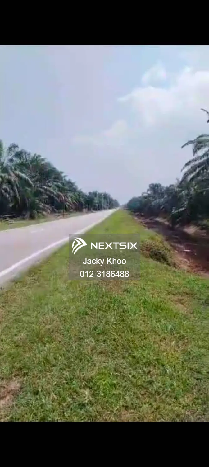 Agricultural Land For Sale in Banting Selangor - Image 7