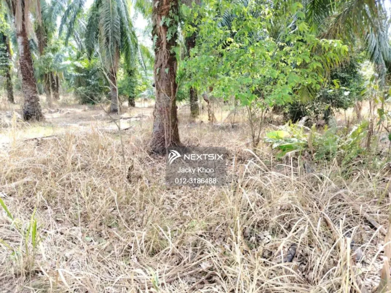Industrial Land For Sale in Telok Panglima Garang Selangor - Image 8