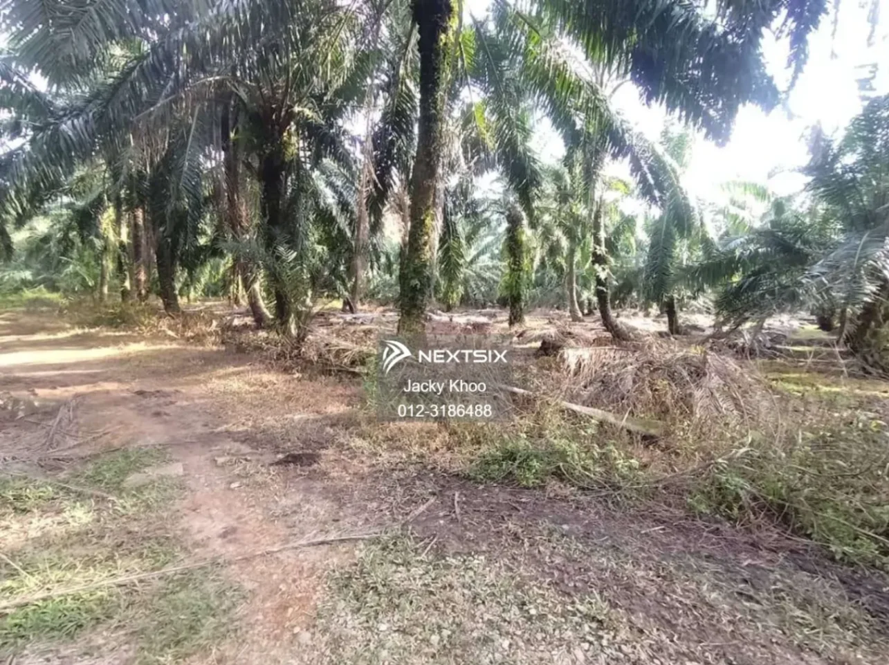 Kanchong Tengah Land Banting, * 5.06 acres
