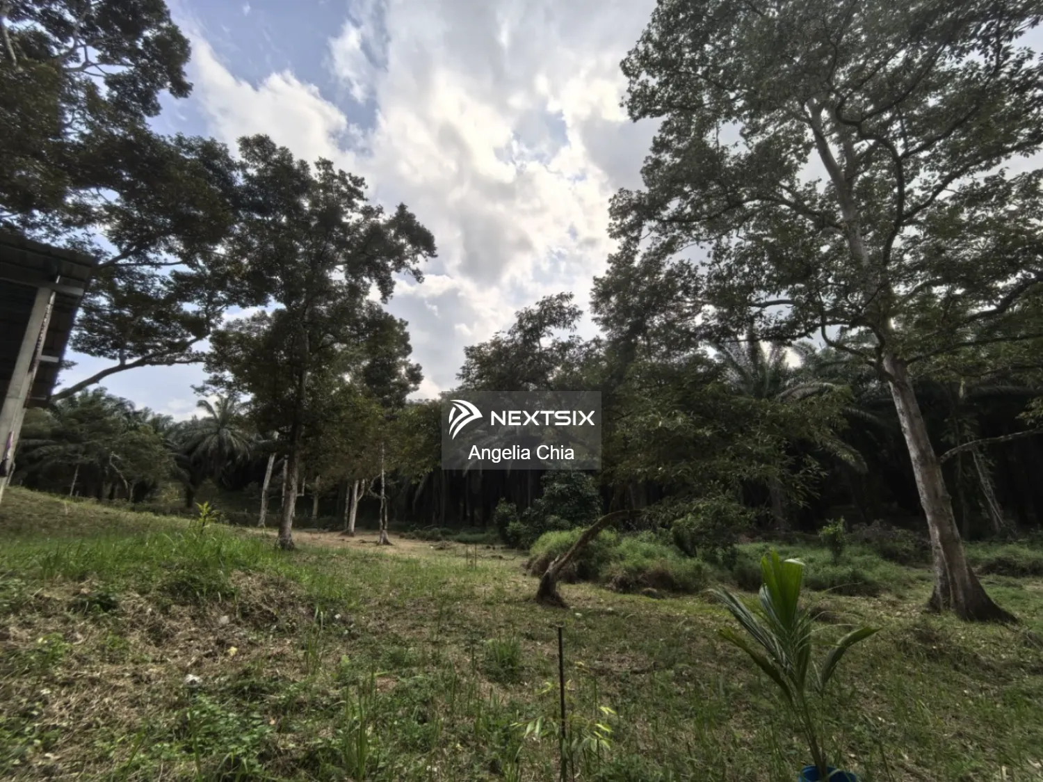 Agricultural Land For Sale in Kota Tinggi Johor - Image 13