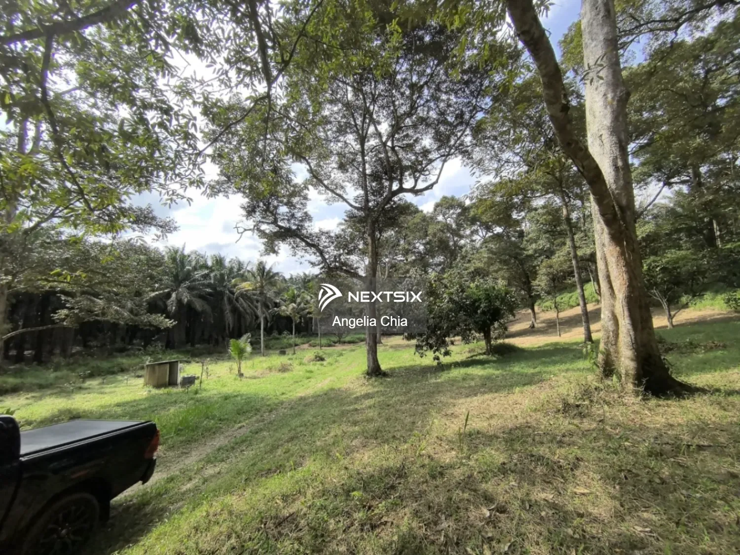 Agricultural Land For Sale in Kota Tinggi Johor - Image 15