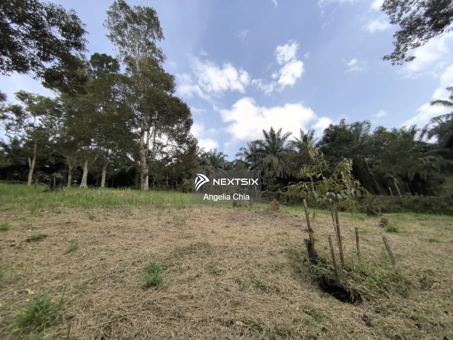 Agricultural Land For Sale in Kota Tinggi Johor - Image 4