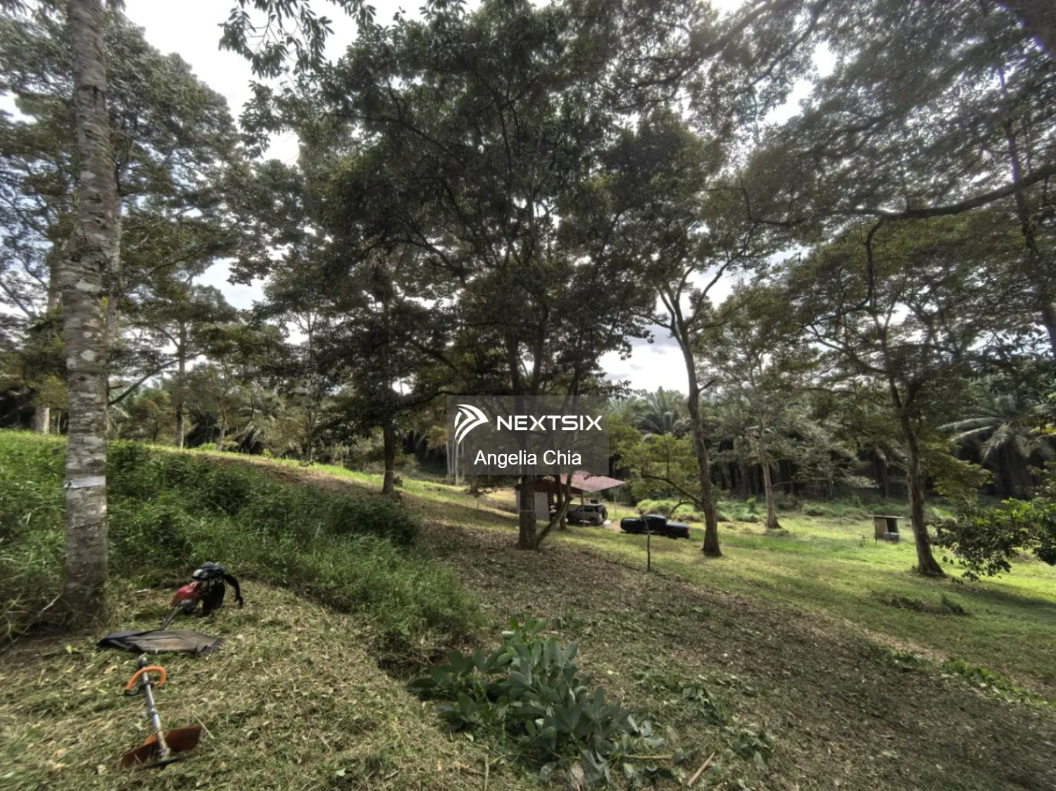 Agricultural Land For Sale in Kota Tinggi Johor - Image 8