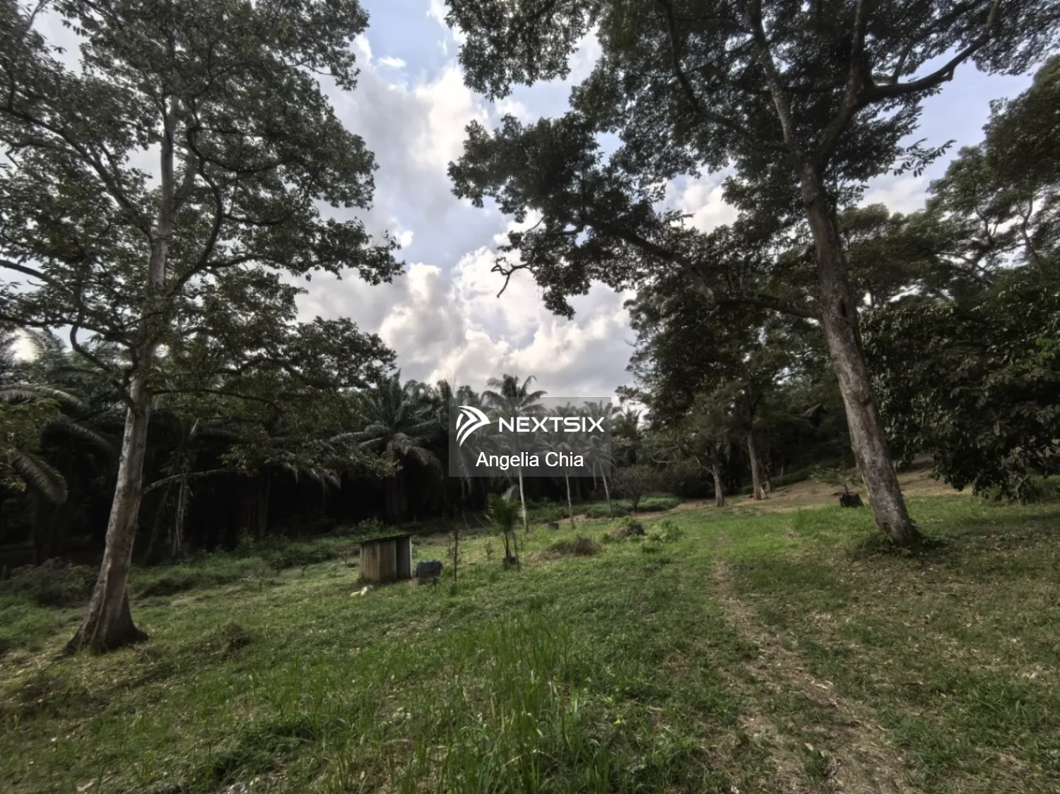 Agricultural Land For Sale in Kota Tinggi Johor - Image 9