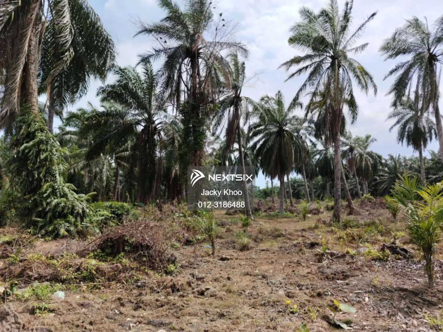 Banting Bandar Land 44 Acres