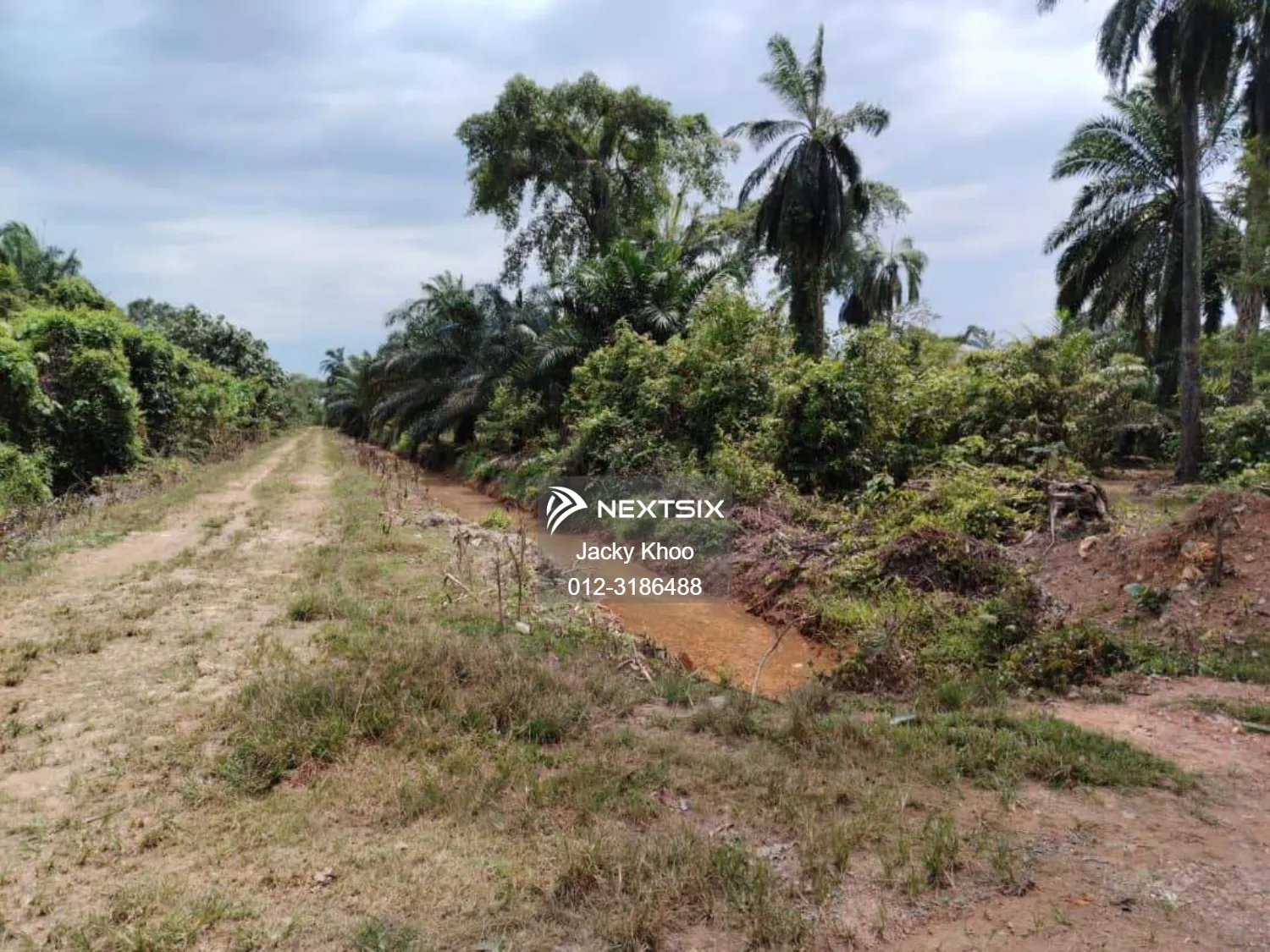 Agricultural Land For Sale in Banting Selangor - Image 2