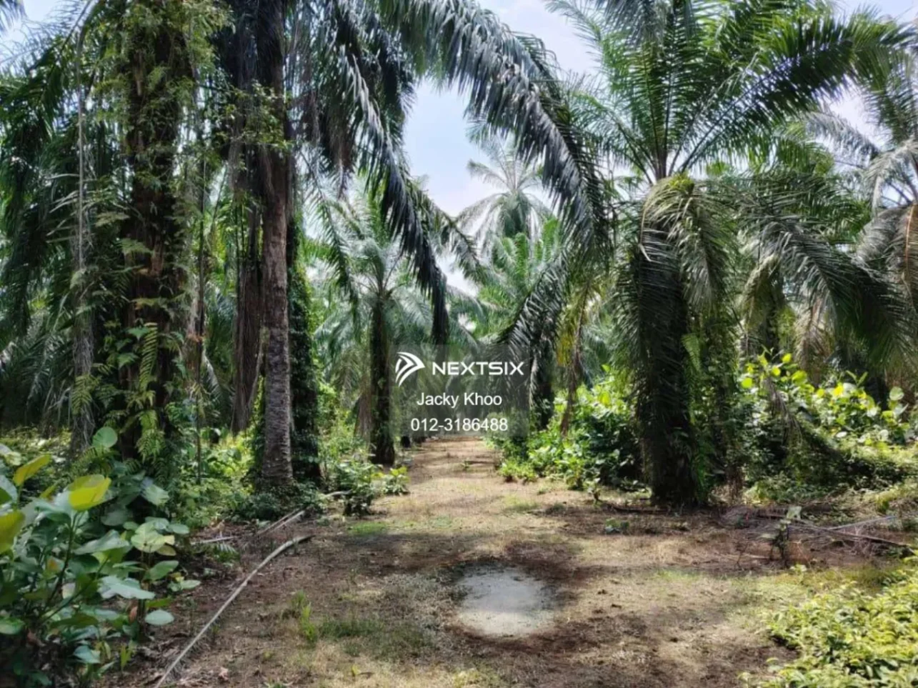 Agricultural Land For Sale in Banting Selangor - Image 6