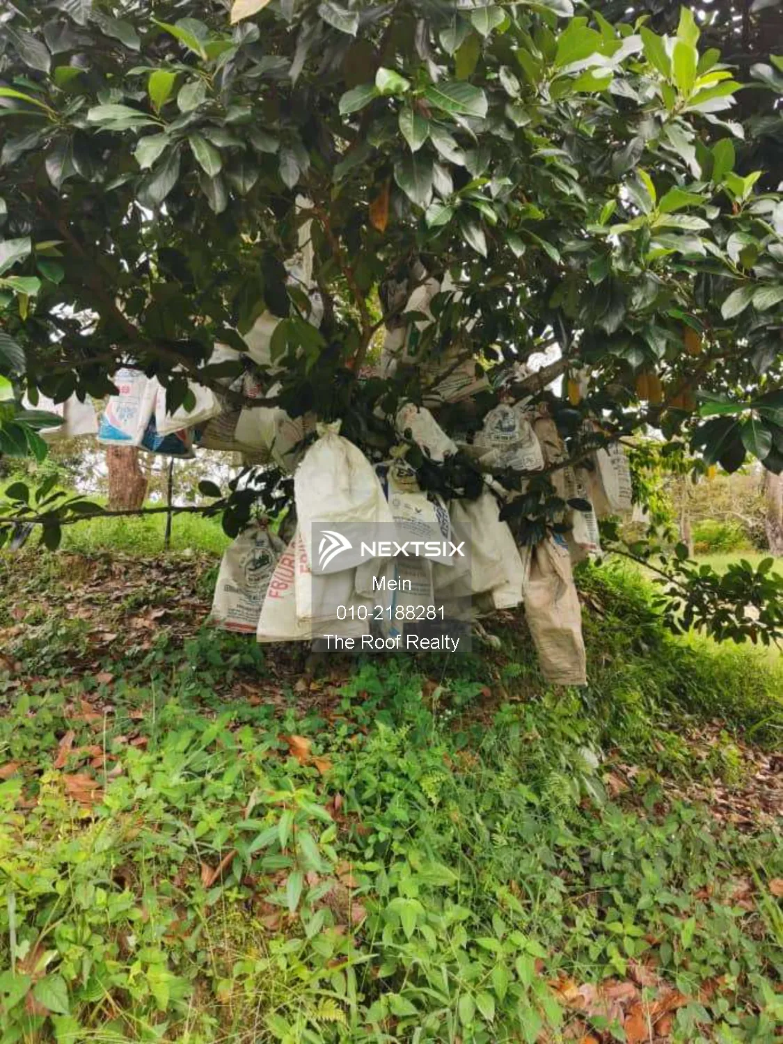 Agricultural Land For Sale in Lenggeng Negeri Sembilan - Image 10