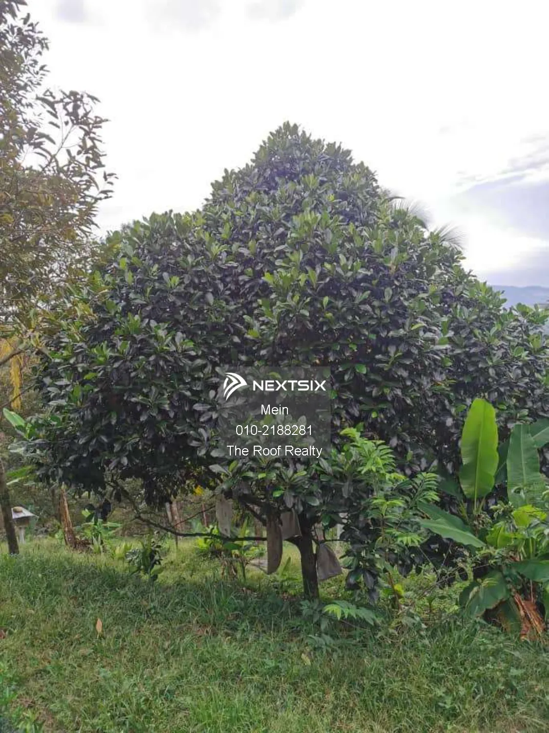 Agricultural Land For Sale in Lenggeng Negeri Sembilan - Image 11