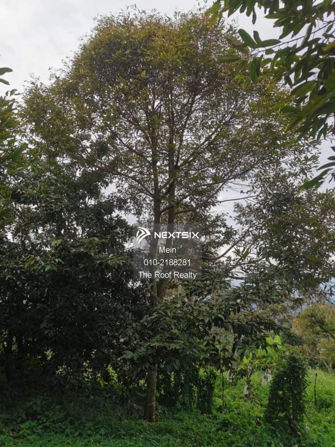 Agricultural Land For Sale in Lenggeng Negeri Sembilan - Image 15