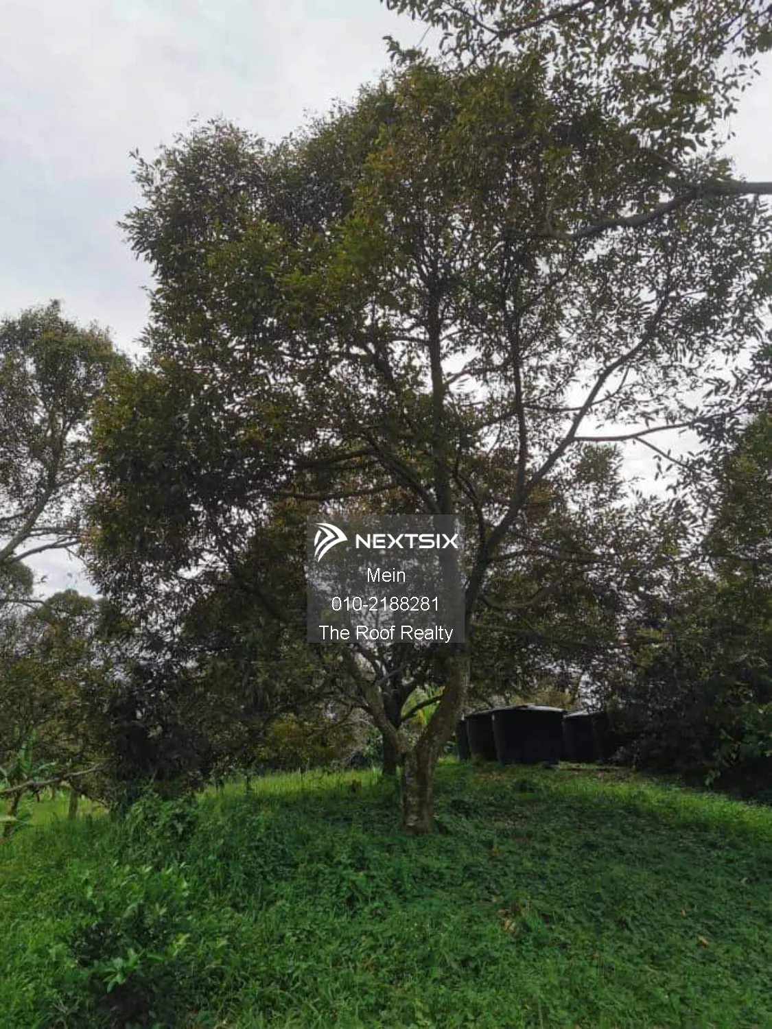 Agricultural Land For Sale in Lenggeng Negeri Sembilan - Image 17