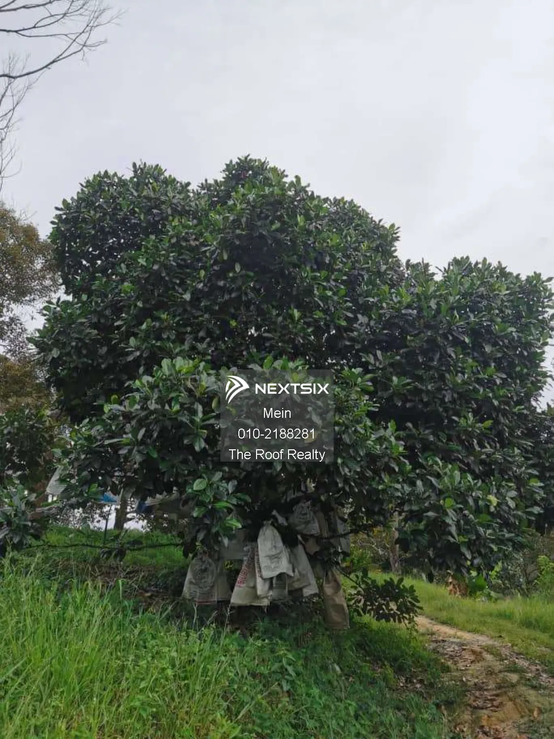 Agricultural Land For Sale in Lenggeng Negeri Sembilan - Image 19