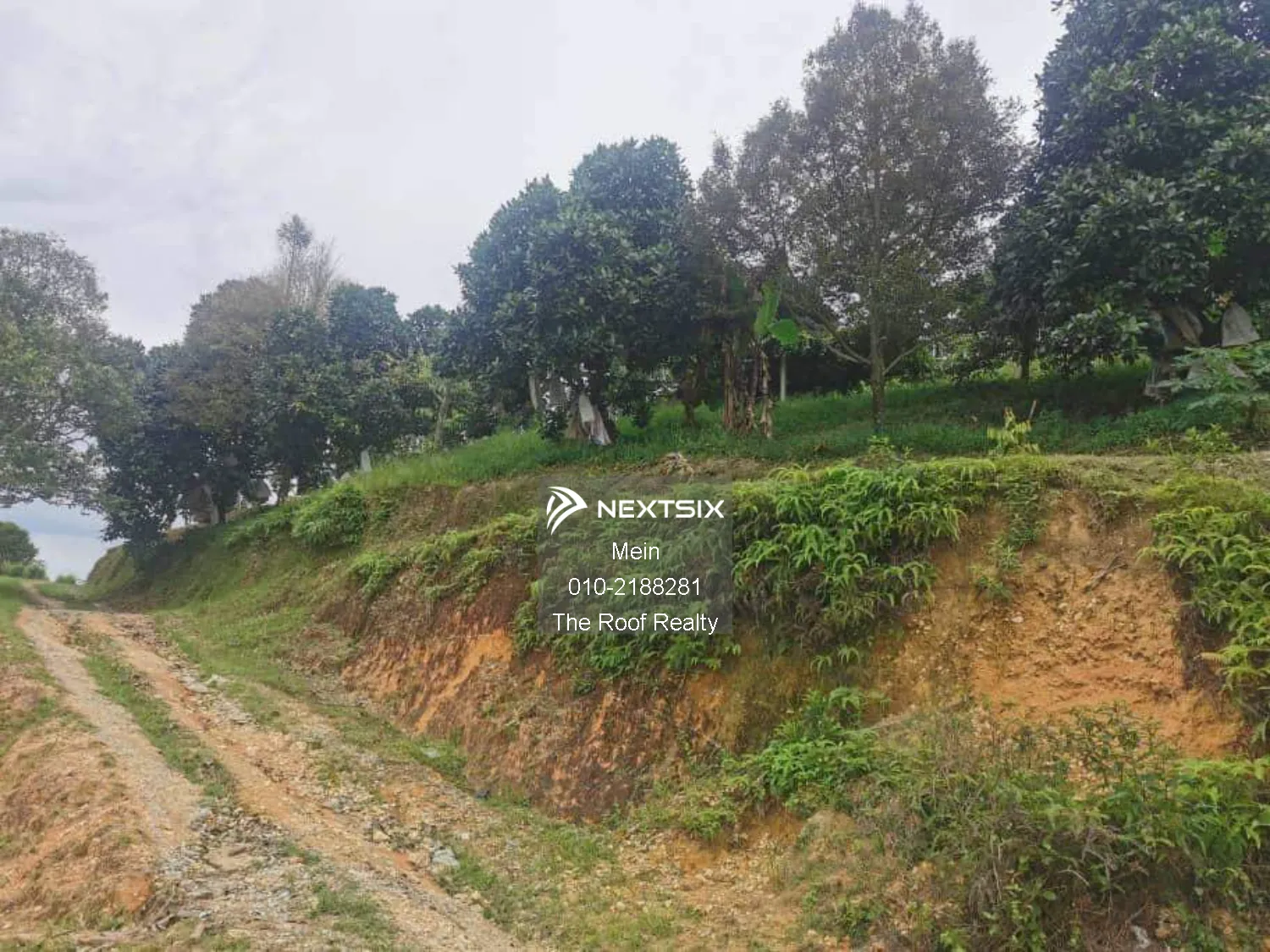 Agricultural Land For Sale in Lenggeng Negeri Sembilan - Image 7