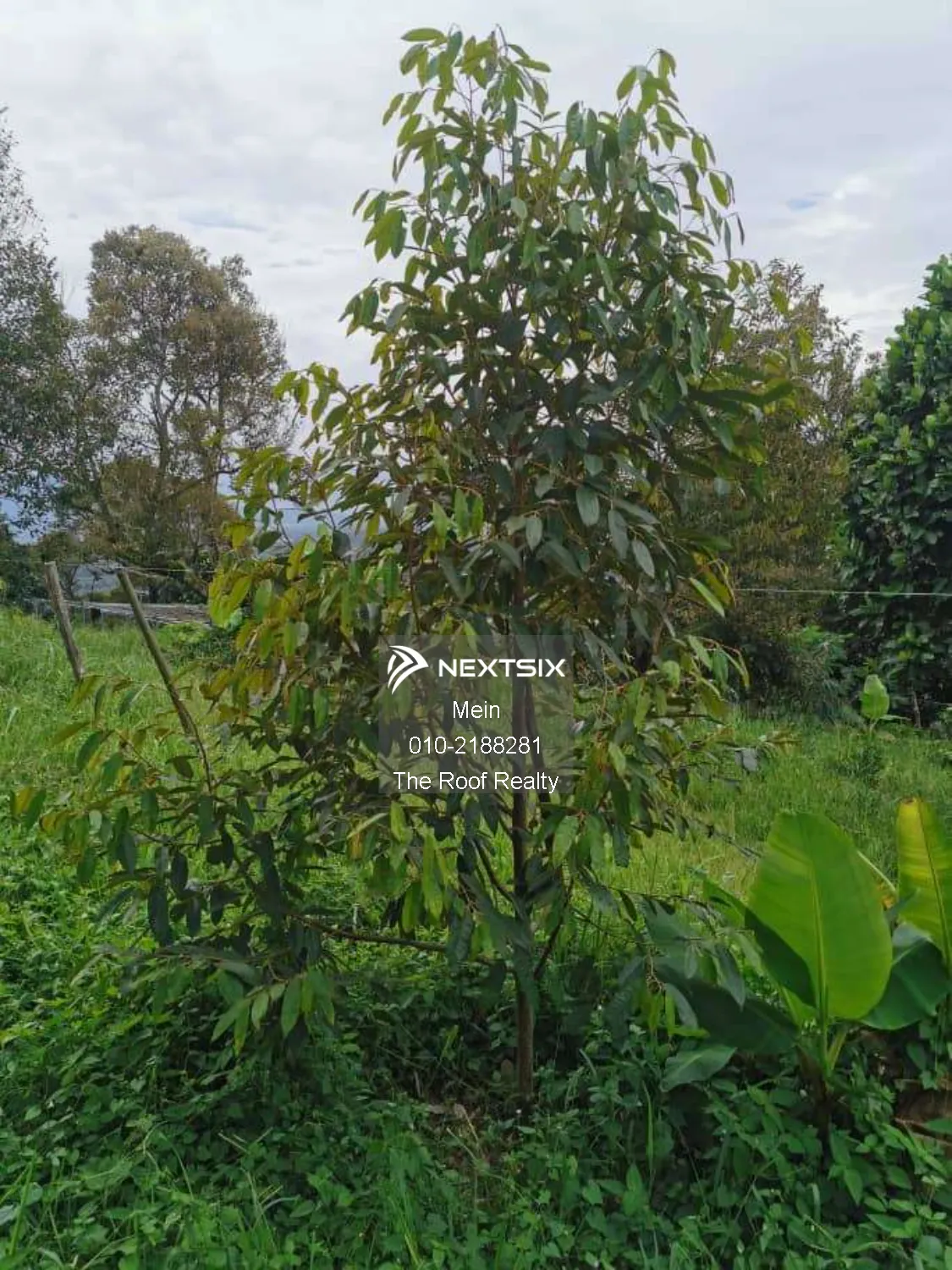 Agricultural Land For Sale in Lenggeng Negeri Sembilan - Image 9