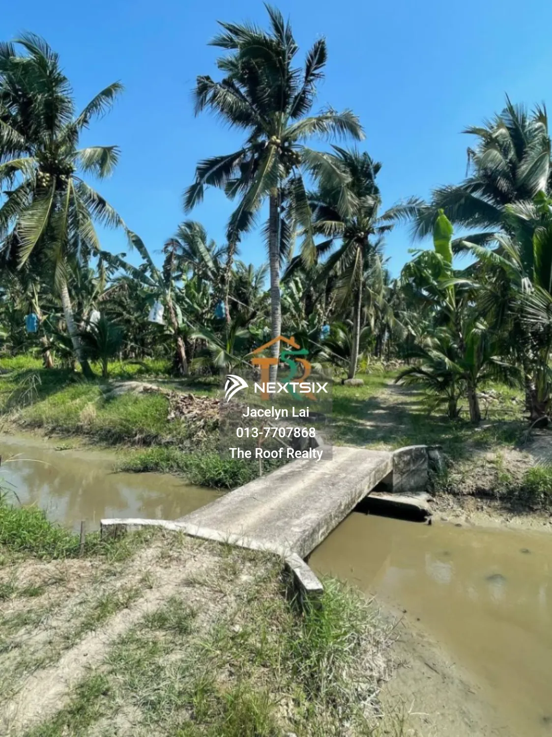 Agricultural Land For Sale in Batu Pahat Johor - Image 3