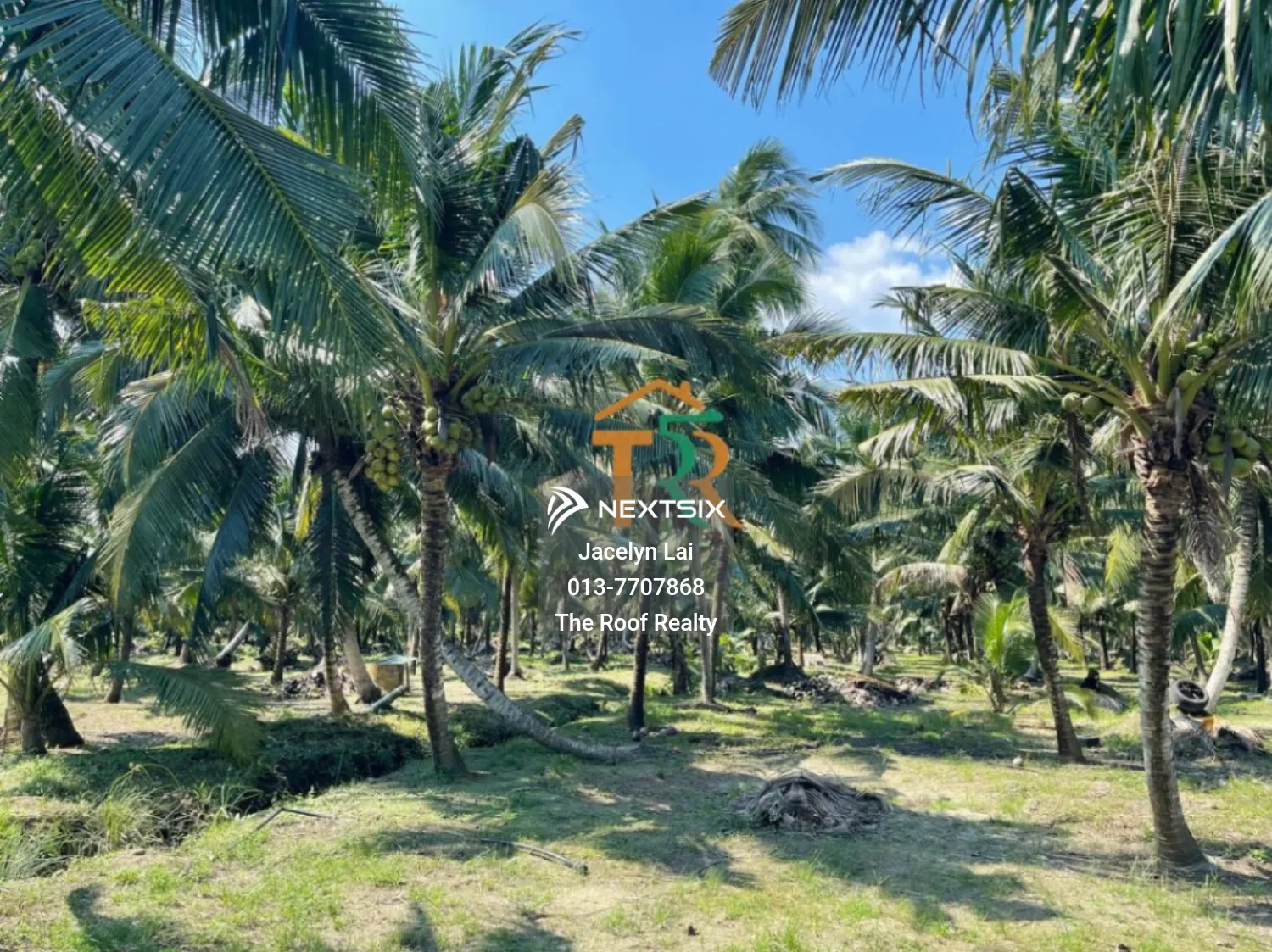 Agricultural Land For Sale in Batu Pahat Johor - Image 6