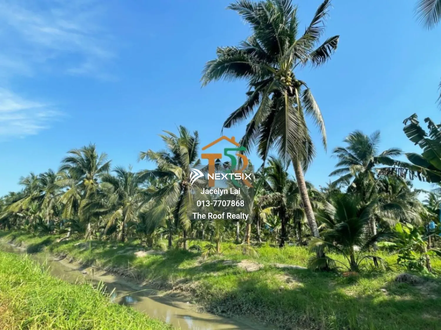 Agricultural Land For Sale in Batu Pahat Johor - Image 8