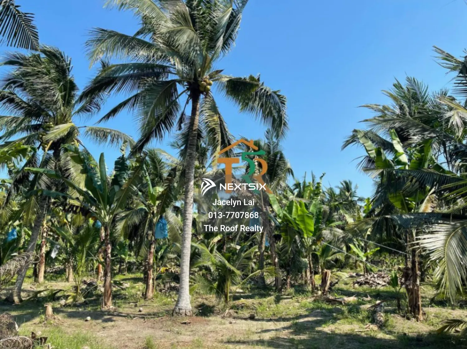 Agricultural Land For Sale in Batu Pahat Johor - Image 9
