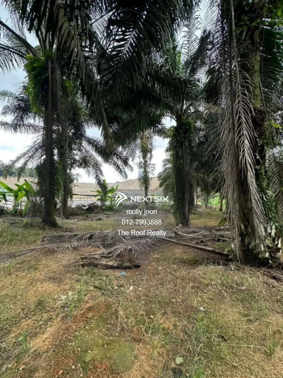 Agricultural Land For Sale in Kulai Johor - Image 2