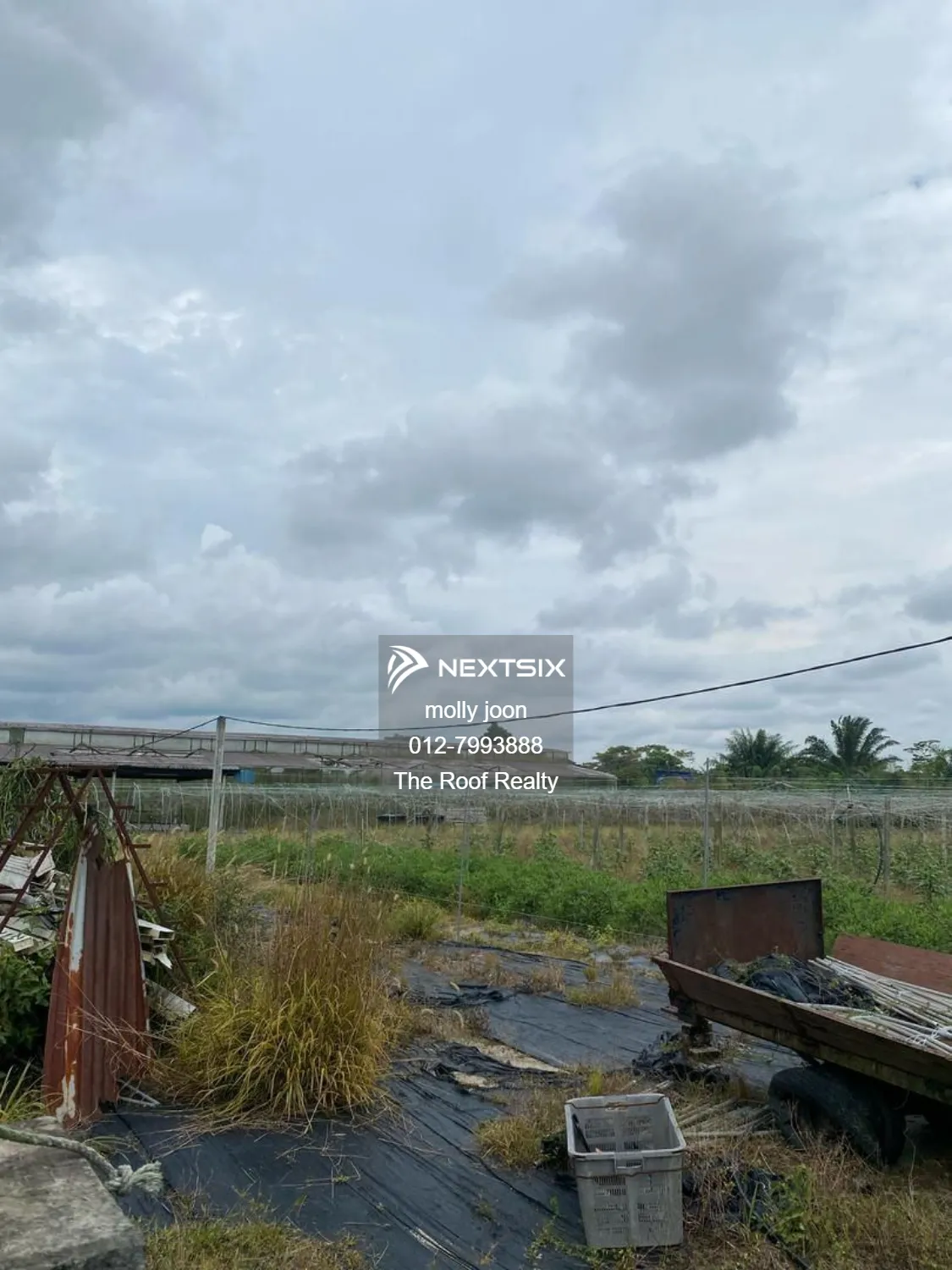 Agricultural Land For Sale in Pekan Nanas Johor