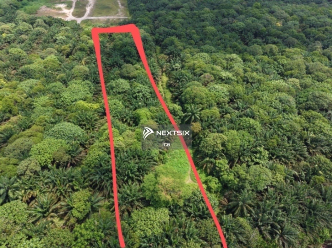 Agricultural Land For Sale in Kuala Langat Selangor - Image 5