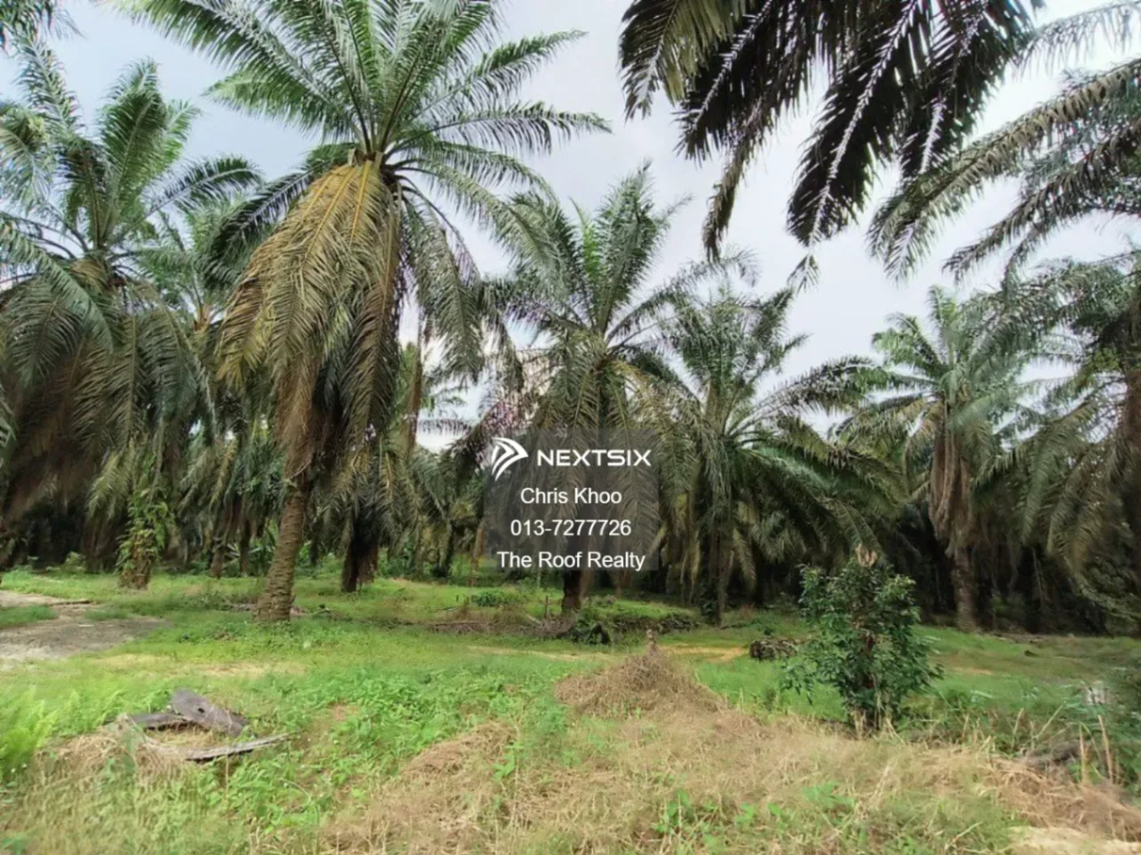 Industrial Land For Sale in Gelang Patah Johor