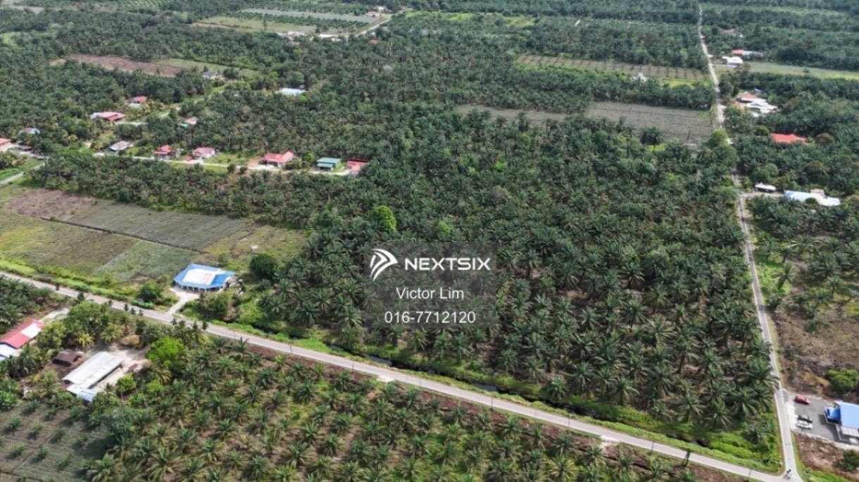 Agricultural Land For Sale in Pontian Johor