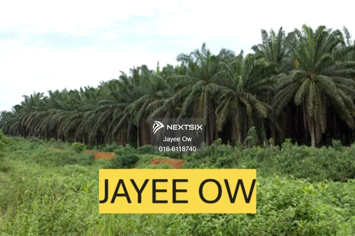 Agricultural Land For Sale in Titi Negeri Sembilan