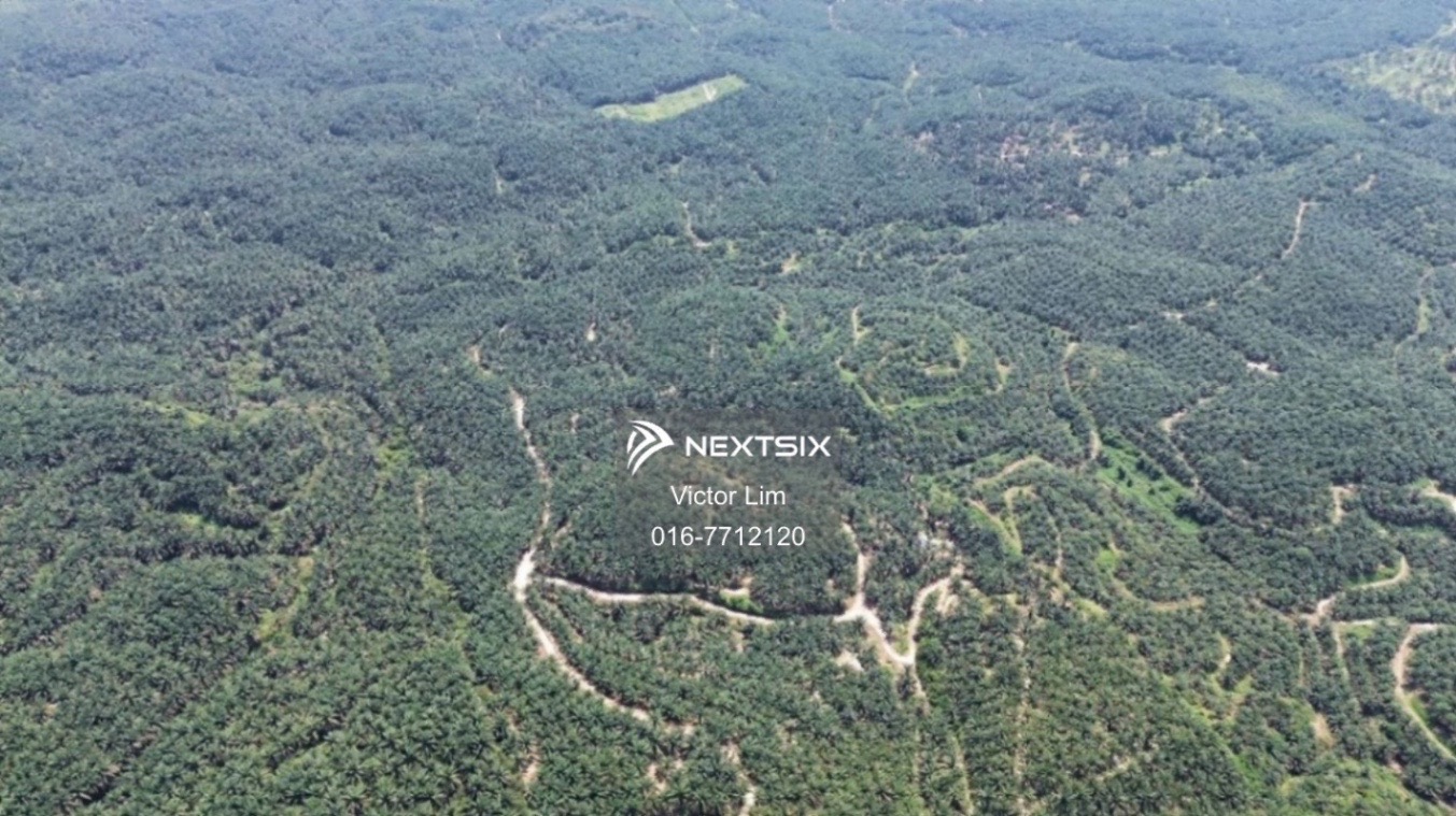 Agricultural Land For Sale in Kluang Johor