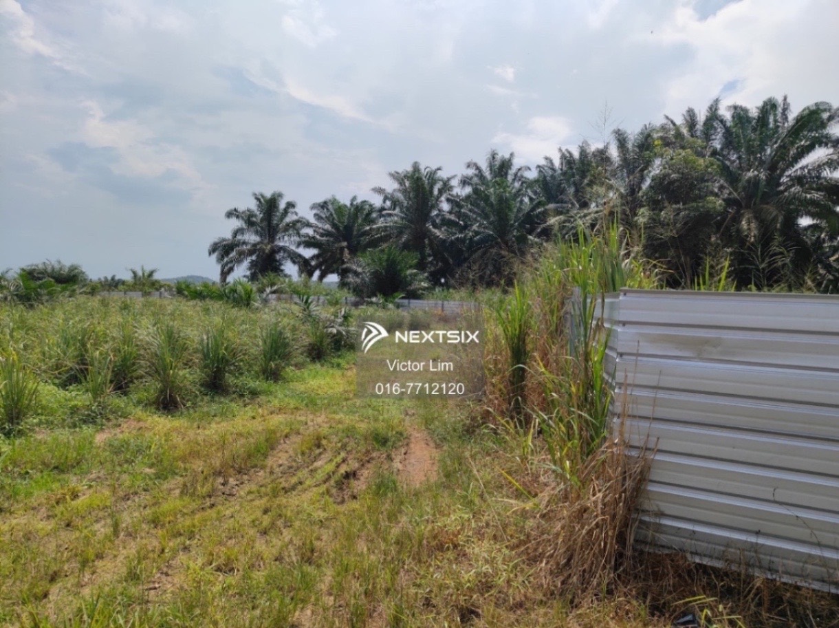Agricultural Land For Sale in Alor Gajah Melaka