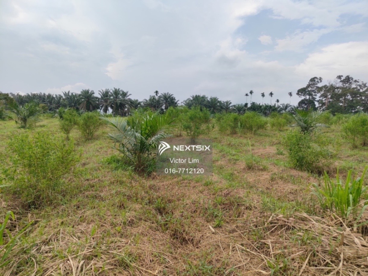 Agricultural Land For Sale in Alor Gajah Melaka - Image 10