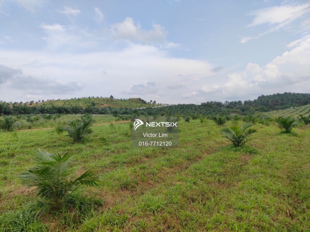 Agricultural Land For Sale in Alor Gajah Melaka - Image 11