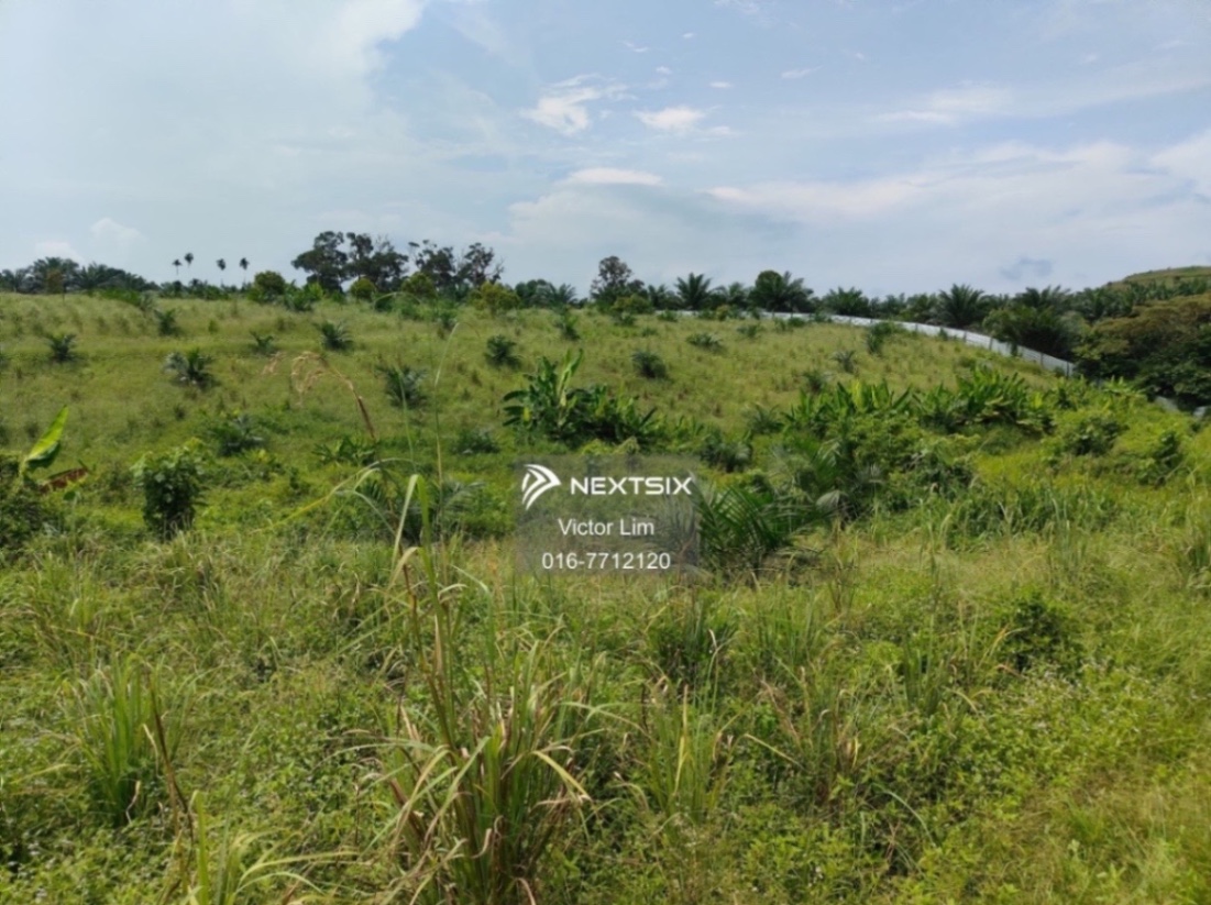 Agricultural Land For Sale in Alor Gajah Melaka - Image 12