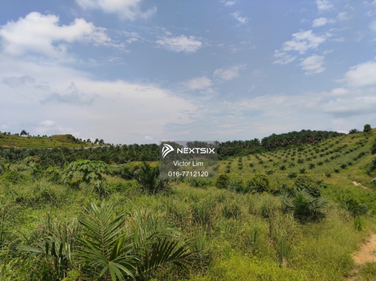 Agricultural Land For Sale in Alor Gajah Melaka - Image 5