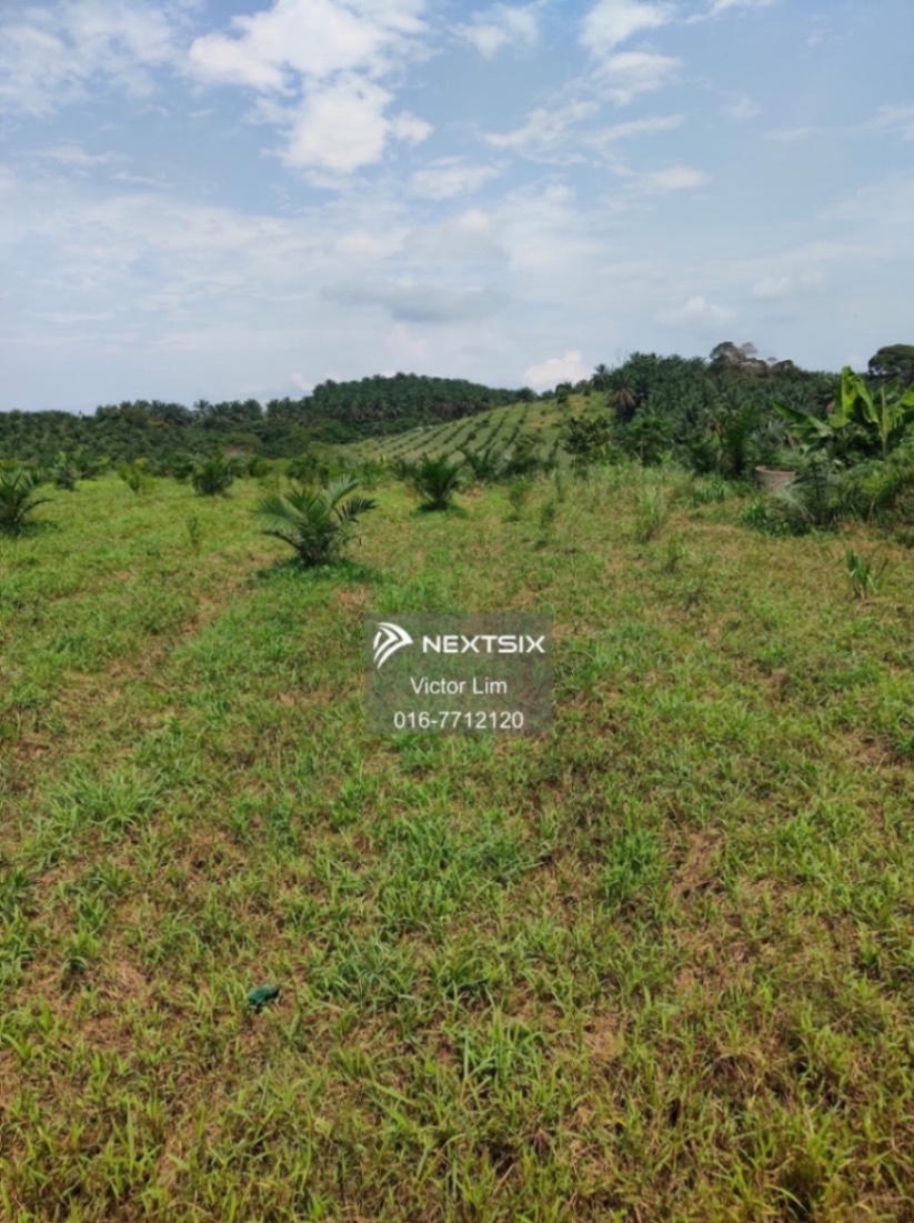 Agricultural Land For Sale in Alor Gajah Melaka - Image 6