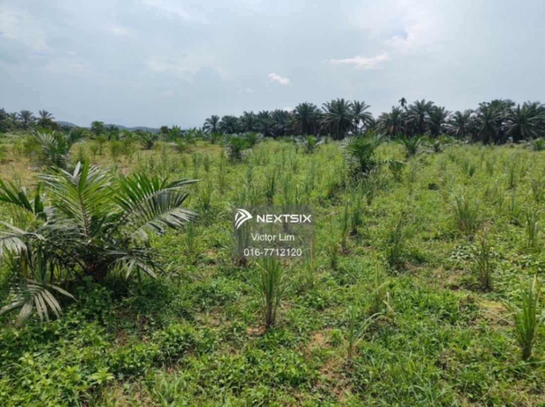 Agricultural Land For Sale in Alor Gajah Melaka - Image 8